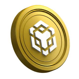 BNB Binance cryptocurrency coin featured on a beginner trader guide page